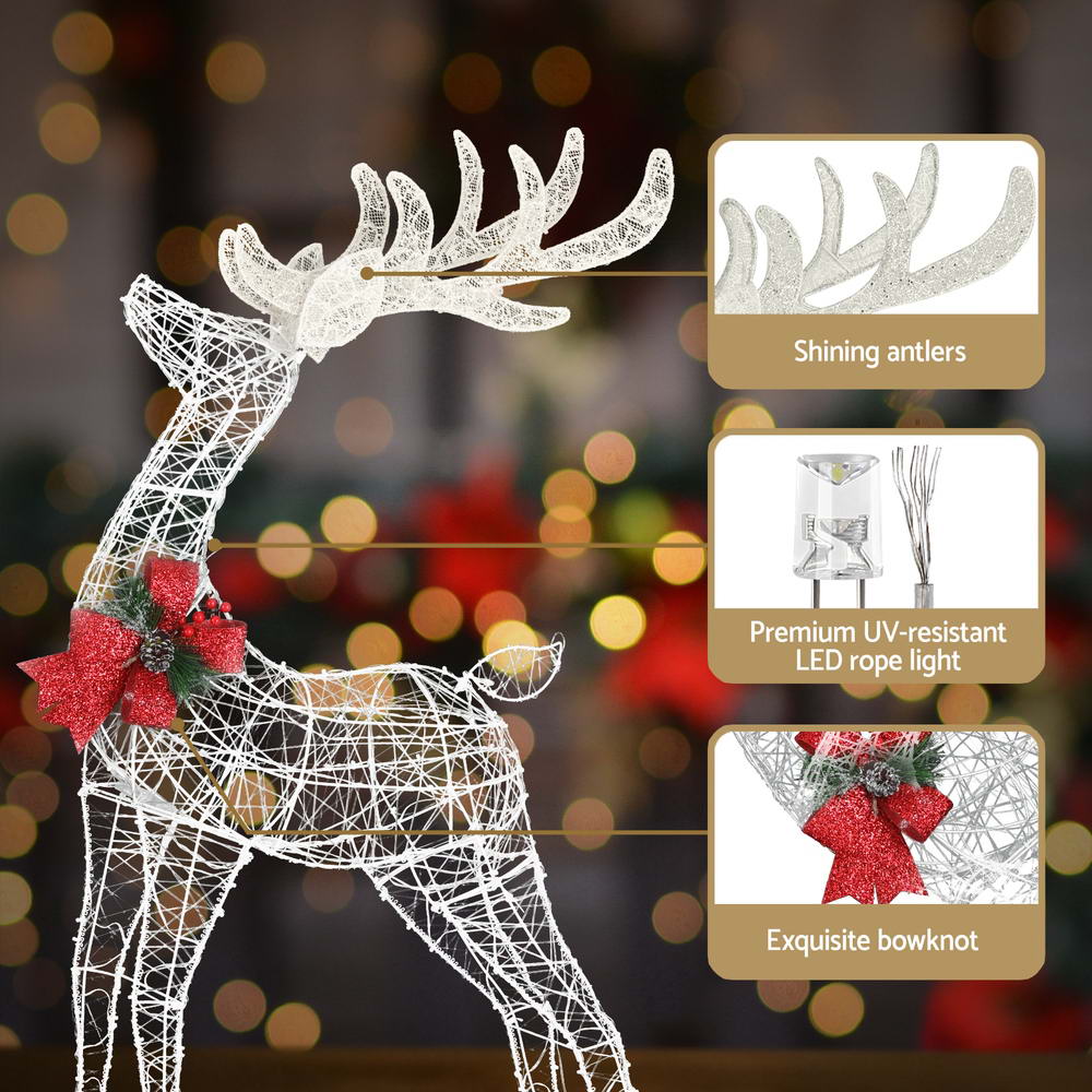 XMAS-MOT-2DEER-WARM-189926-05.jpg