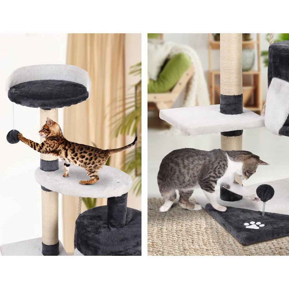 PET-CAT-14711-GR-14586-04.jpg