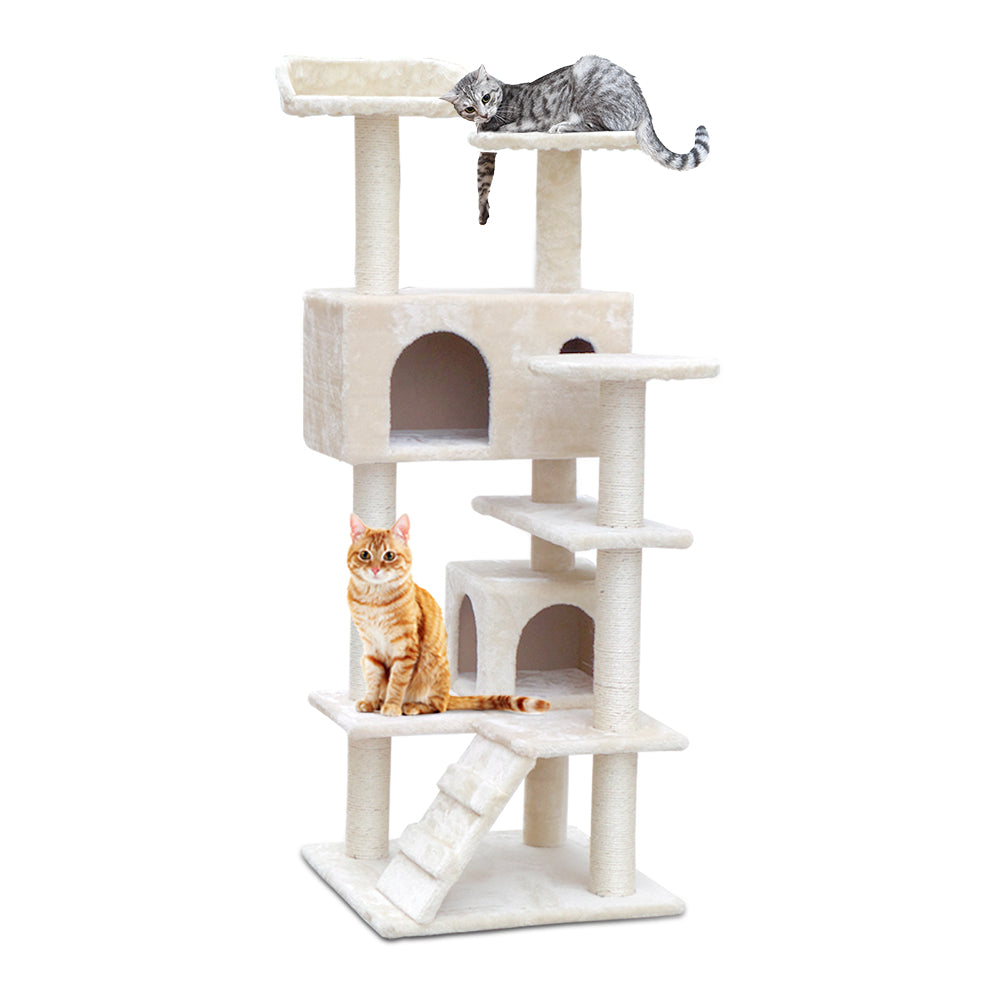 PET-CAT-801F-BE-5074-00.jpg
