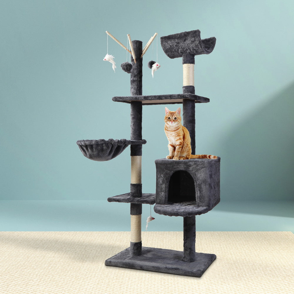 PET-CAT-FL08-GR-16630-07.jpg