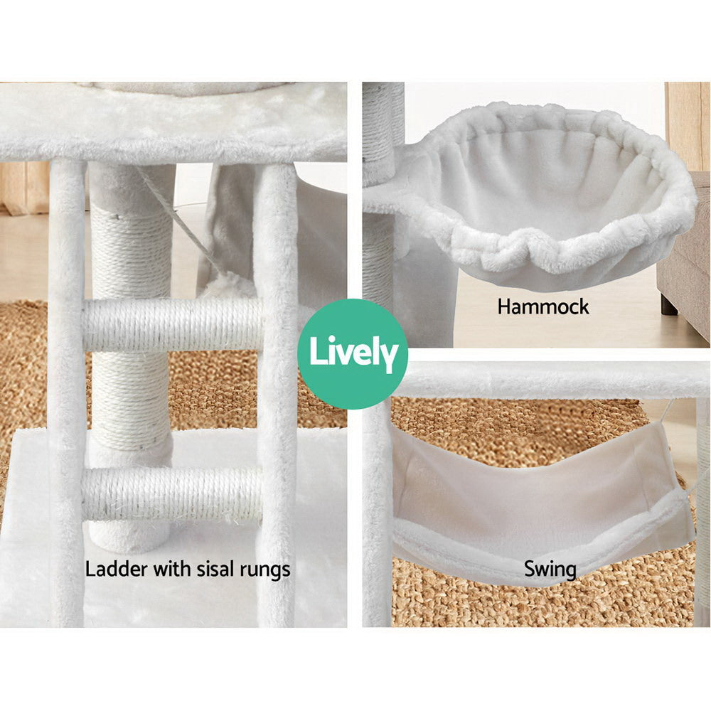 PET-CAT-PCT63-BE-5076-05.jpg