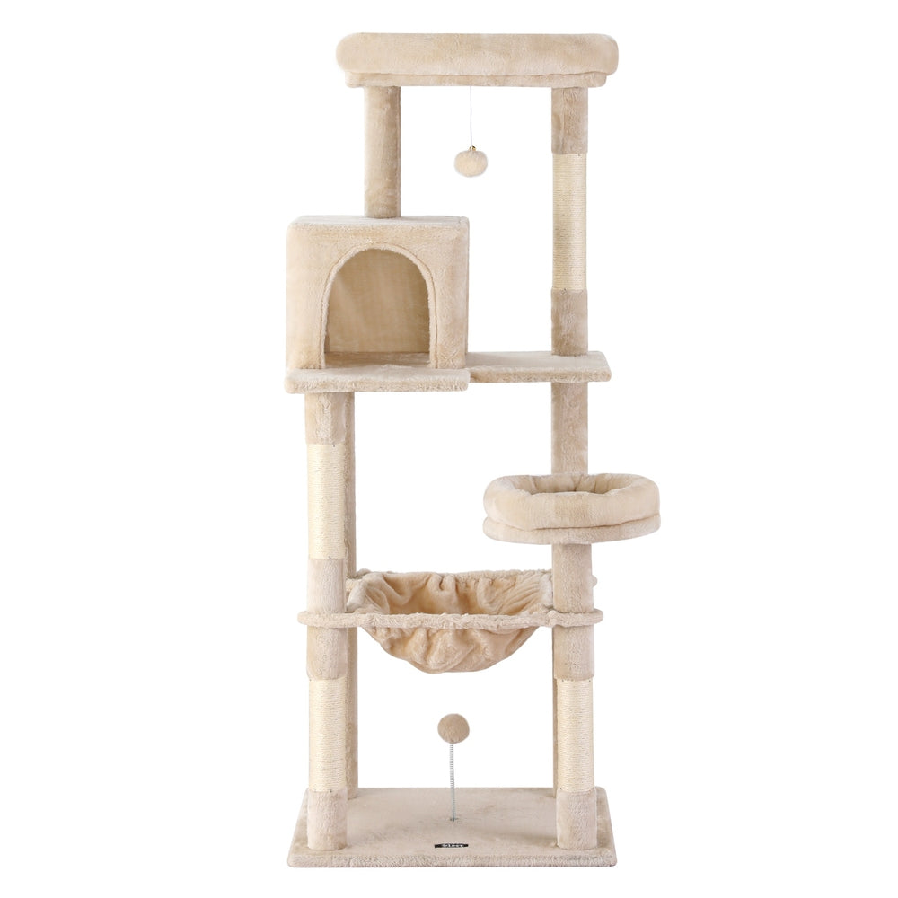 PET-CAT-M143-BE-202506111512-01.jpg
