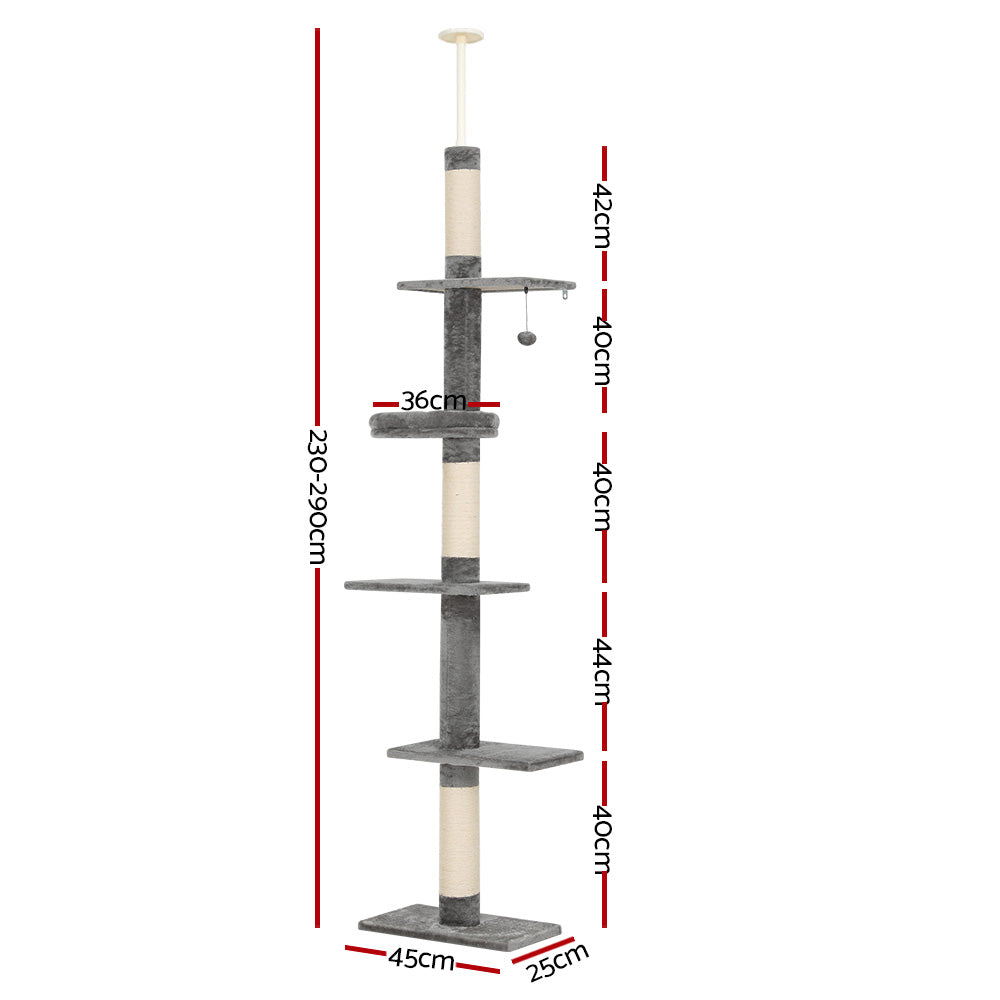 PET-CAT-POLE-GRWH-89867-01.jpg