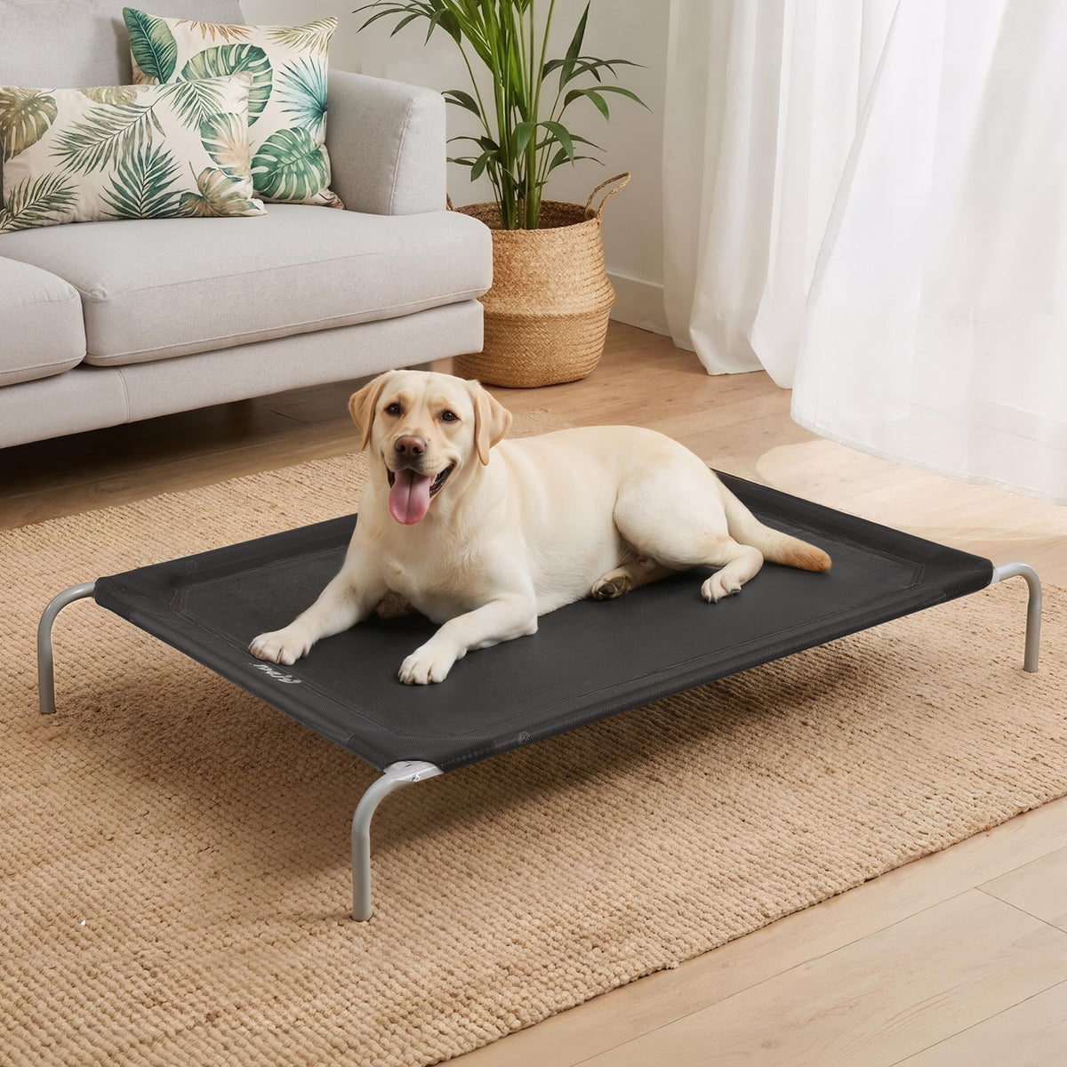 i.Pet Pet Dog Bed Elevated Trampoline Durable Raised Heavy Duty Large Dogs 90x137cm Black