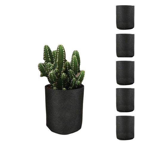 Plant Pots And Stands