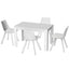 DSET-120WH-5221-WHX4-202503041104-00.jpg