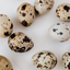 100 X Brown Quail Egg Cartons For 18 Eggs