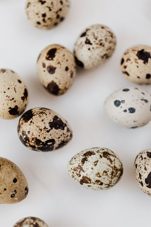 100 X Brown Quail Egg Cartons For 18 Eggs