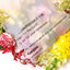 100 X Clear Biodegradable Medium Mailer 250X340mm Compostable Bag Satchels