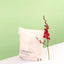 100 X Clear Biodegradable Medium Mailer 250X340mm Compostable Bag Satchels