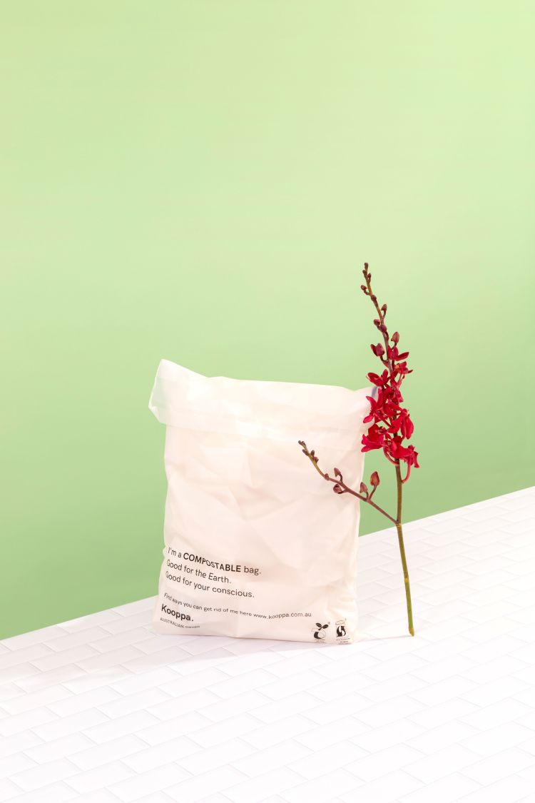 100 X Clear Biodegradable Medium Mailer 250X340mm Compostable Bag Satchels