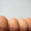 100 X Clear Duck Egg Cartons For 10 Large Eggs