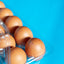 100 X Clear Duck Egg Cartons For 10 Large Eggs