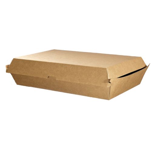100 X Large Kraft Brown Disposable Family Pack Boxes Bulk Takeaway Box