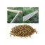 1000 Bee Frame Eyelets Brass Fittings Bee Hive Beehive Beekeeping Beekeeper Tool