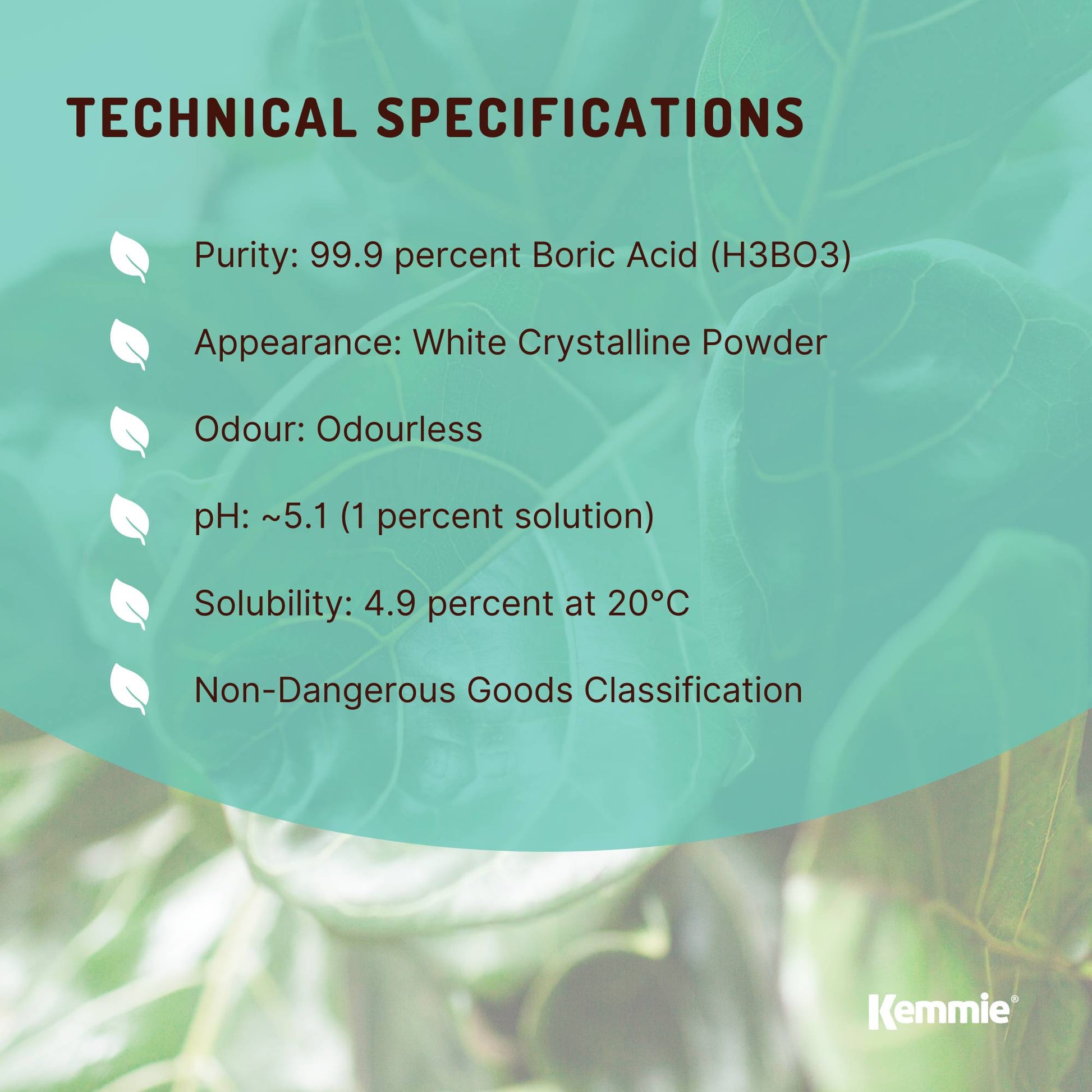 100g Boric Acid Powder 99.9% Pure - Soluble Orthoboric Acid H3BO3