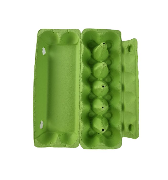 150 X Lime Green Full Dozen Carton 12-Egg Recyclable Egg Cartons