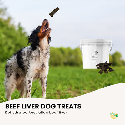 1Kg Dog Treat Beef Liver Pieces Bucket - Dehydrated Australian Healthy Puppy Chew