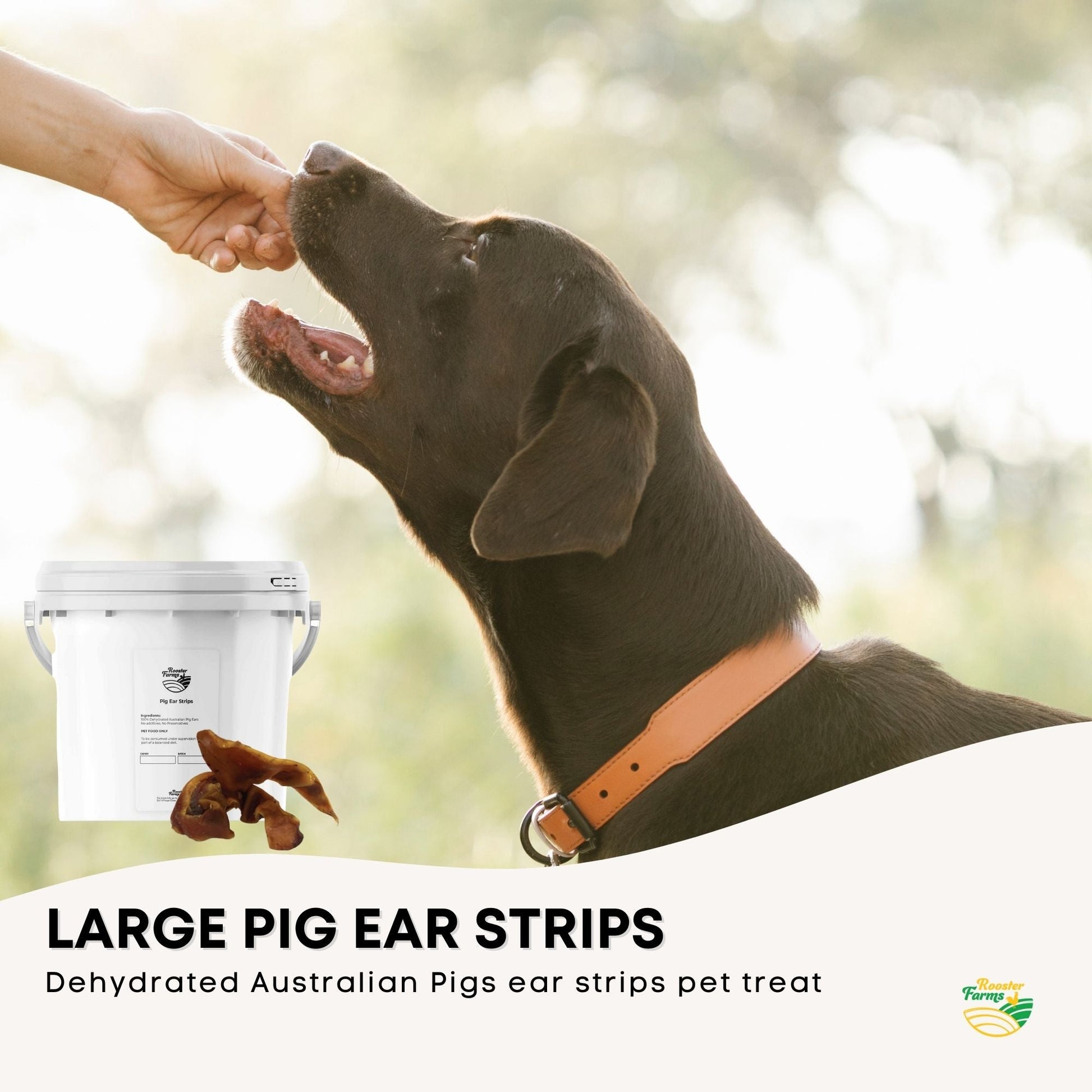 1Kg Dog Treat Pig Ear Strips Bucket - Dehydrated Australian Healthy Puppy Chew