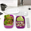 2 x Bentgo All-In-One Lunch Box Container Storage Purple