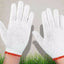 24 Pairs Pack X White Red Work Poly/Cotton General Purpose Elastic Yarn Gloves