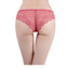 24 X Womens Lace Sexy Bikini Briefs - Undies Coloured Solid Underwear Jocks