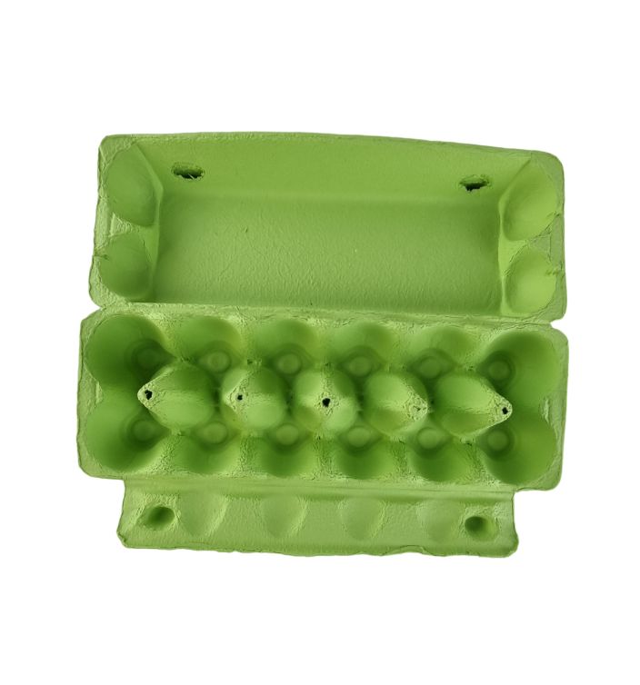 25 X Lime Green Full Dozen Carton 12-Egg Recyclable Egg Cartons