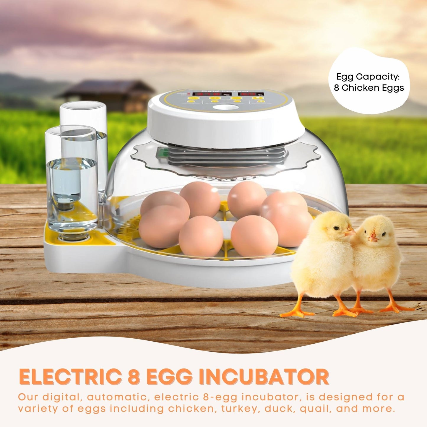 Electric 8 Egg Incubator - Digital Automatic Turning Chicken Quail Duck Hatching