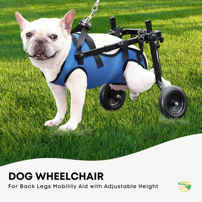 Rooster Farms Small Dog Wheelchair for Back Legs - Adjustable Mobility Aid