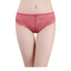 30 X Womens Lace Sexy Bikini Briefs - Undies Coloured Solid Underwear Jocks