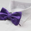 Mens Purple Plain Coloured Bow Tie With White Polka Dots