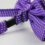 Mens Purple Plain Coloured Bow Tie With White Polka Dots