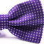 Mens Purple Plain Coloured Bow Tie With White Polka Dots