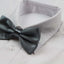 Mens Grey Solid Plain Colour Bow Tie