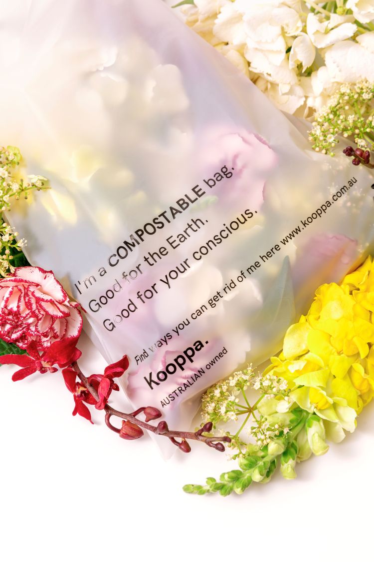 50 X Clear Biodegradable Medium Mailer 250X340mm Compostable Bag Satchels