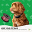 500m Dog Underground Boundary Fence Wire Invisible Cable - For TP16 Collar