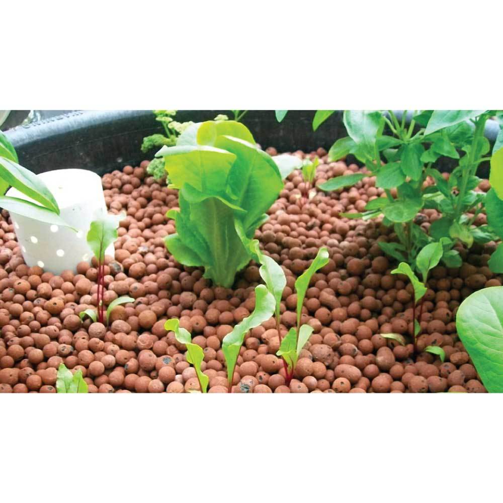 50L Hydro Clay Balls - Organic Premium Hydroponic Expanded Plant Growing Medium