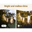 LIGHT-WC-B-S14-50-WW-96648-06.jpg