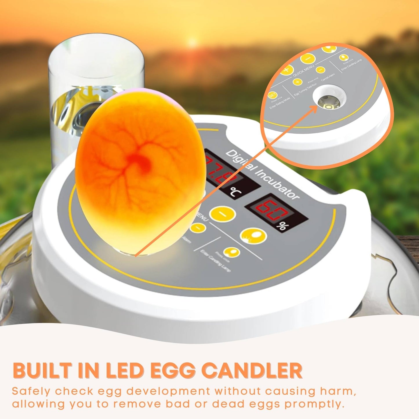 Electric 8 Egg Incubator - Digital Automatic Turning Chicken Quail Duck Hatching