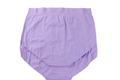 6 Pairs X Bonds Womens Seamless Full Brief Underwear Violet
