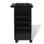 6 Tier Hairdressing Trolley Black 82x49x32cm Salon Hair Colouring Rolling Cart