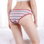 6 x Womens Sheer Spandex / Cotton Briefs - Assorted Colours Underwear Undies 89487