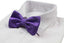 Mens Purple Plain Coloured Bow Tie With White Polka Dots