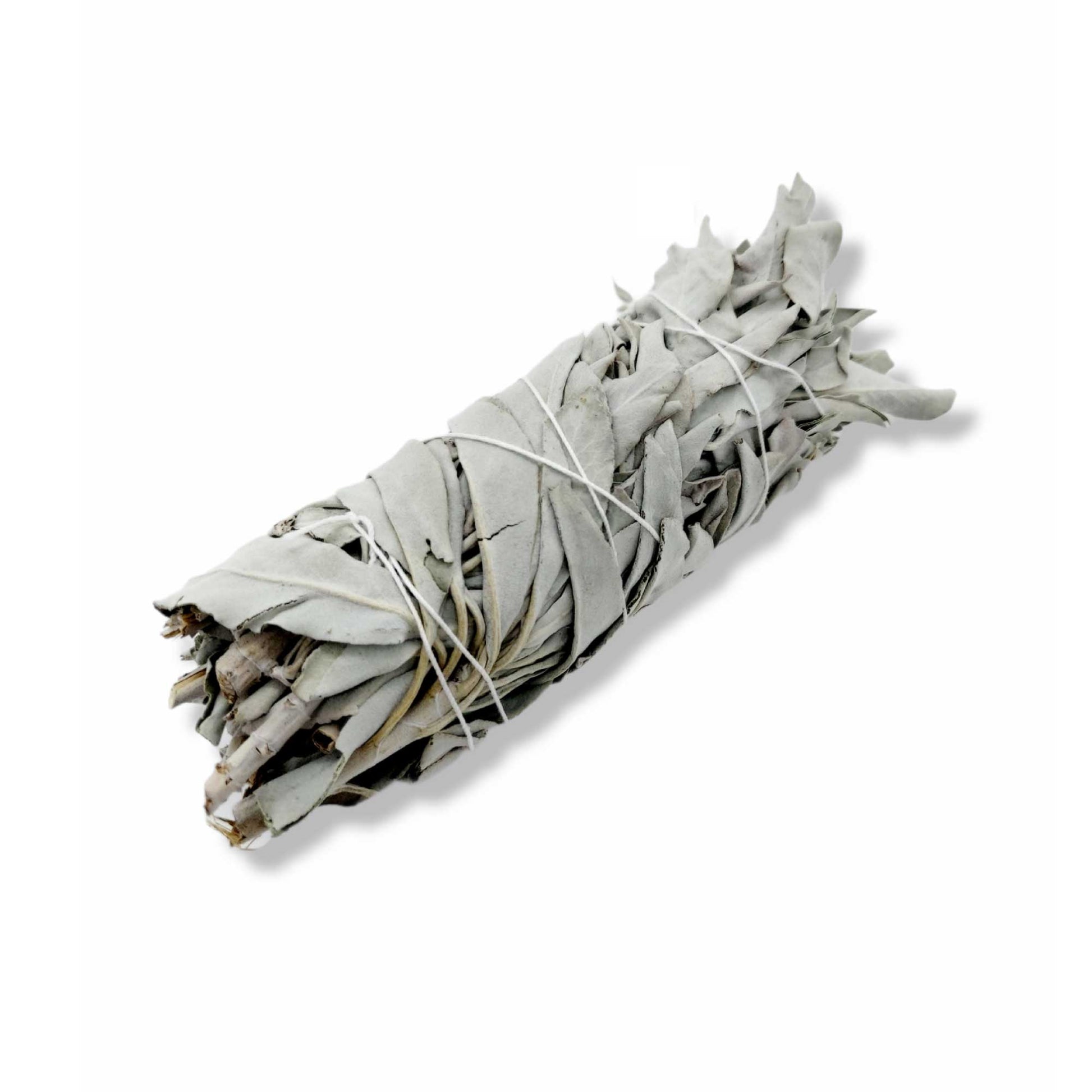 6x Californian White Sage Smudge Sticks Medium 13-15cm Incense Cleansing Bundle