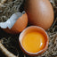 75 X Clear Duck Egg Cartons For 4 Large Eggs