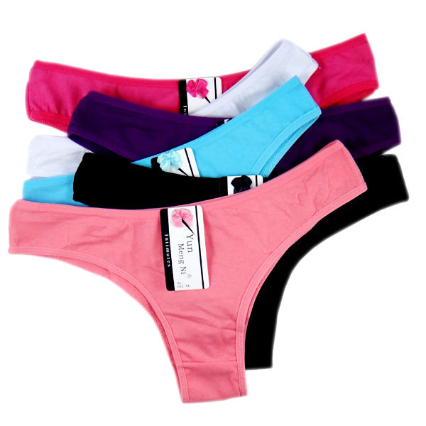 6 x Womens Sheer Spandex / Cotton Briefs - Assorted Colours Underwear Undies 86378