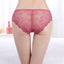 6 x Womens Sheer Nylon / Cotton Briefs - Assorted Colours Underwear Undies 89457