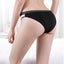 12 X Womens Sheer Spandex / Cotton Briefs - Assorted Colours Undies 89531