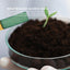 Organic Potassium Bicarbonate Powder Tubs - Food Grade FCC for Brewing Baking