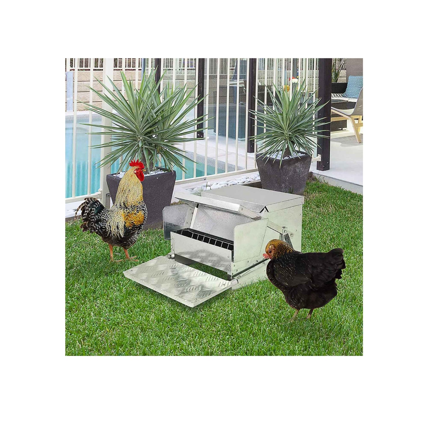 9kg Automatic Chook Chicken Feeder Poultry Auto Treadle Aluminium Metal Feeders